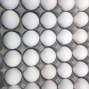 Hutterite White Eggs 30 Count - The Crisp Apple Calgary