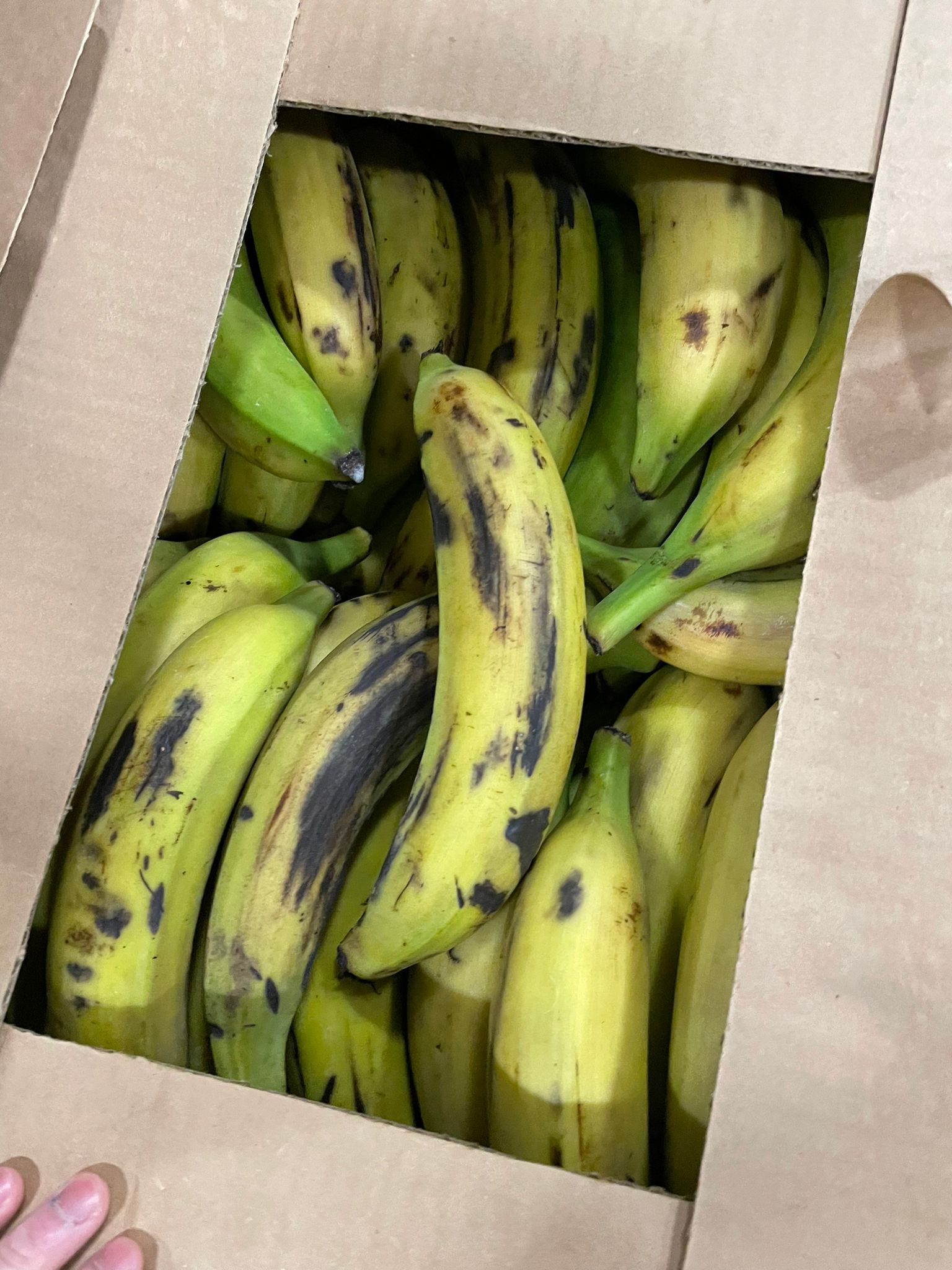 Plantain Ripe Box Plantains 1lb - The Crisp Apple Calgary